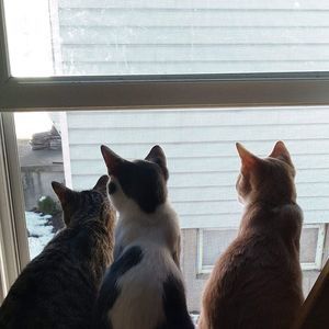 Meet your Posher, Shari